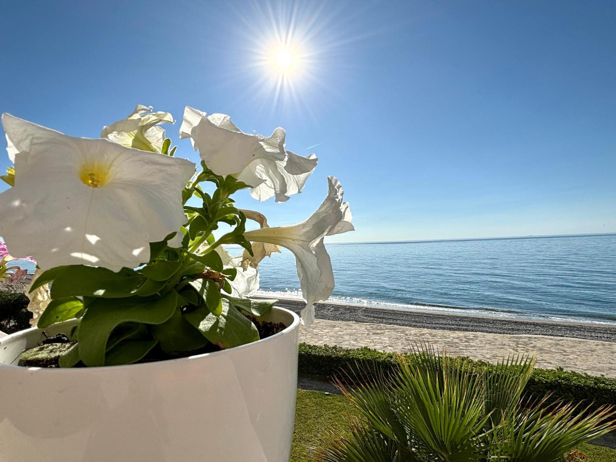 Diletta Casa vacanze