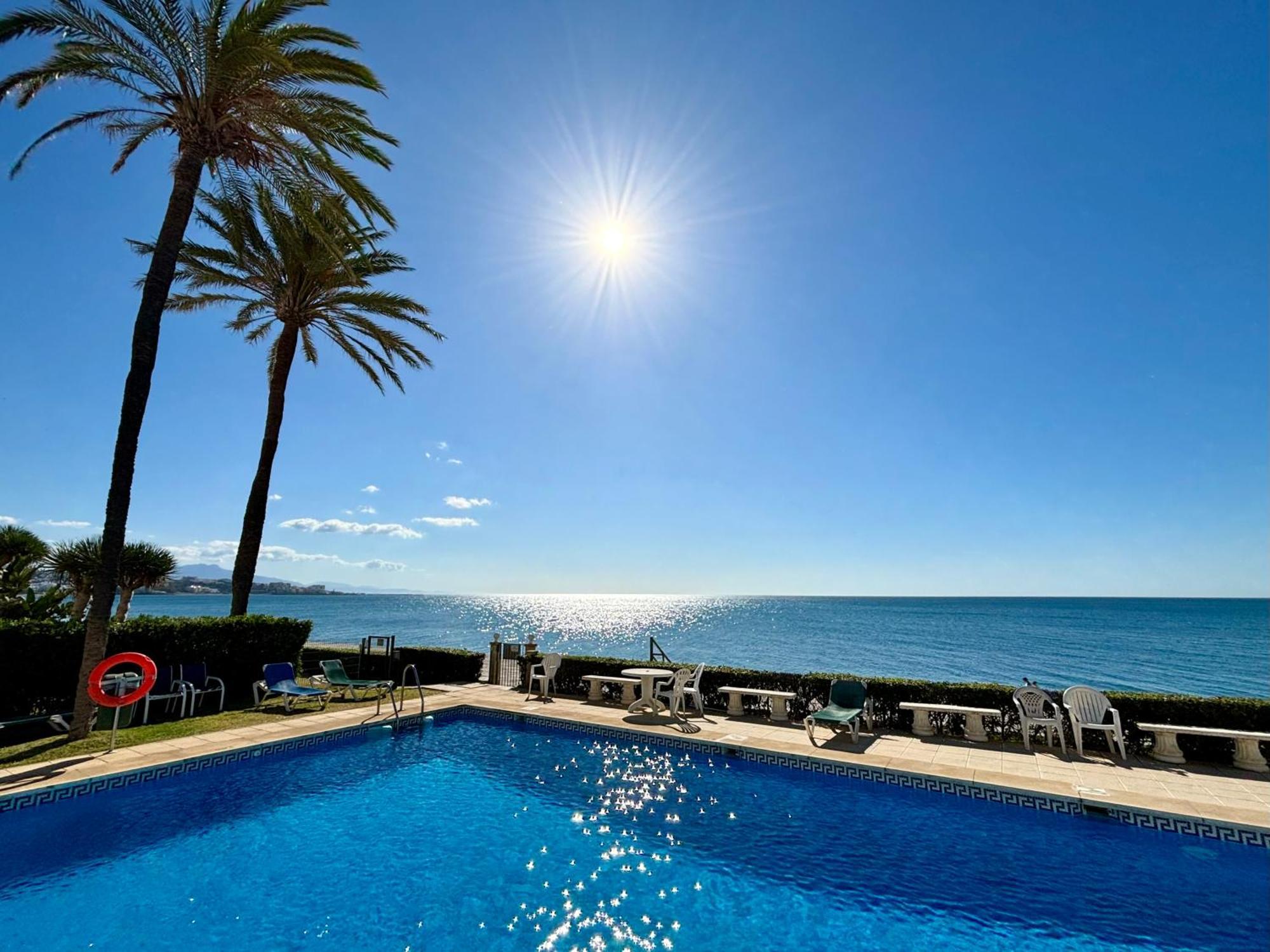 Diletta Estepona